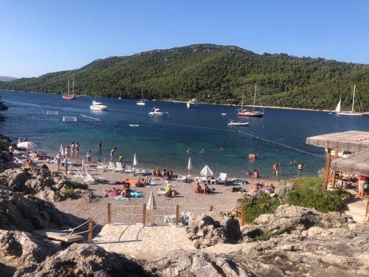 Stephanie Island Lägenhet